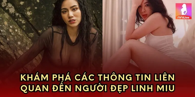 Khám phá các thông tin liên quan đến người đẹp Mỹ Linh